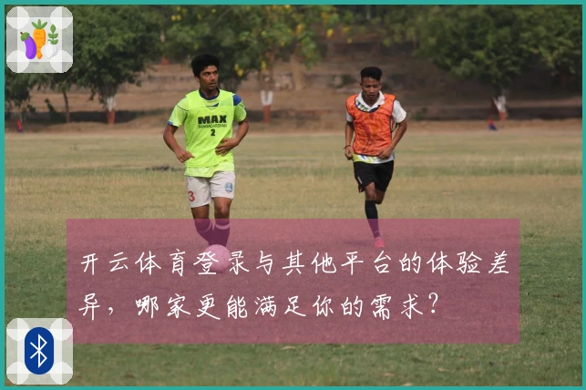 开云体育登录与其他平台的体验差异，哪家更能满足你的需求？